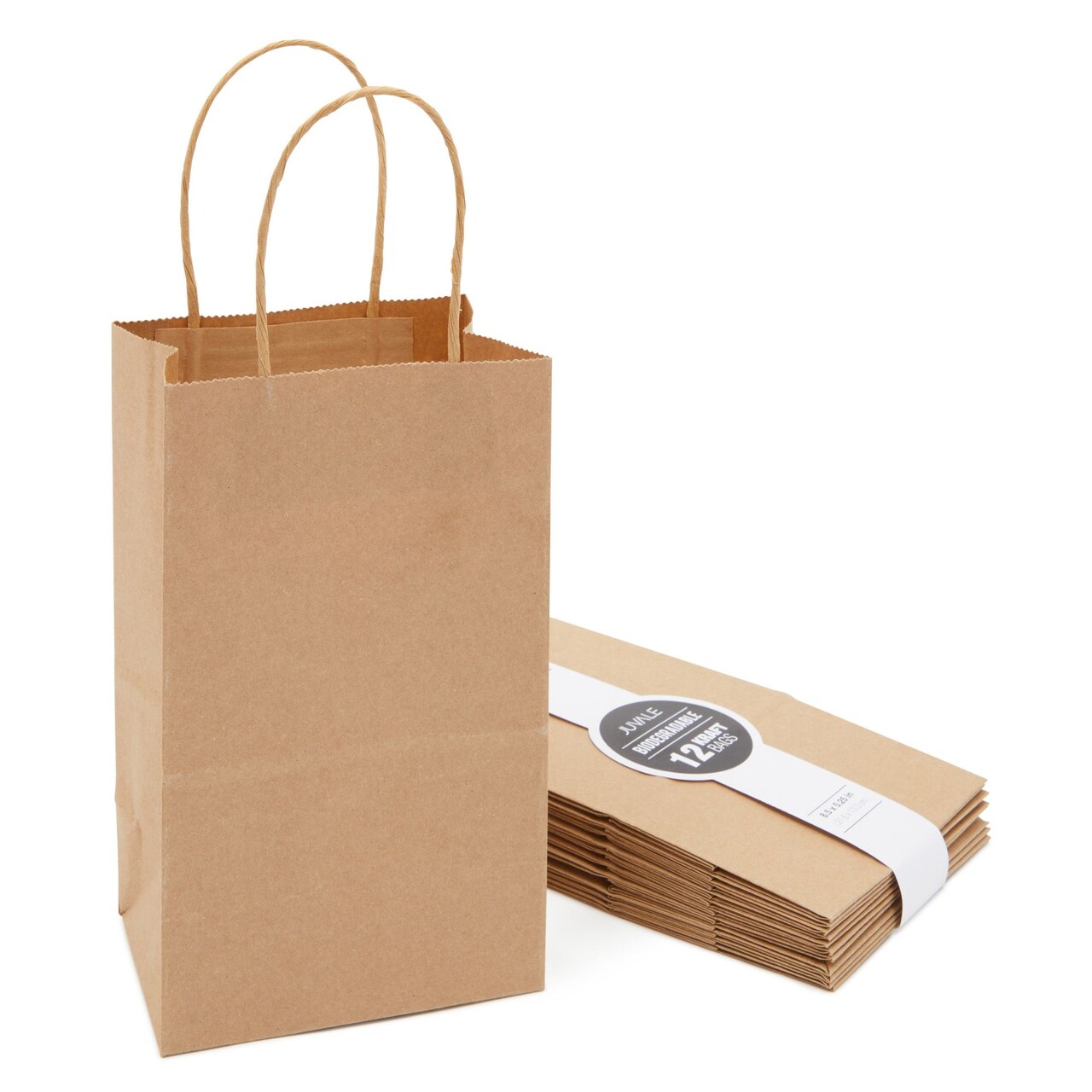 12 Pack Small Gift Bags with Handles 5.3 x 3 x 8.5 Inch Bulk